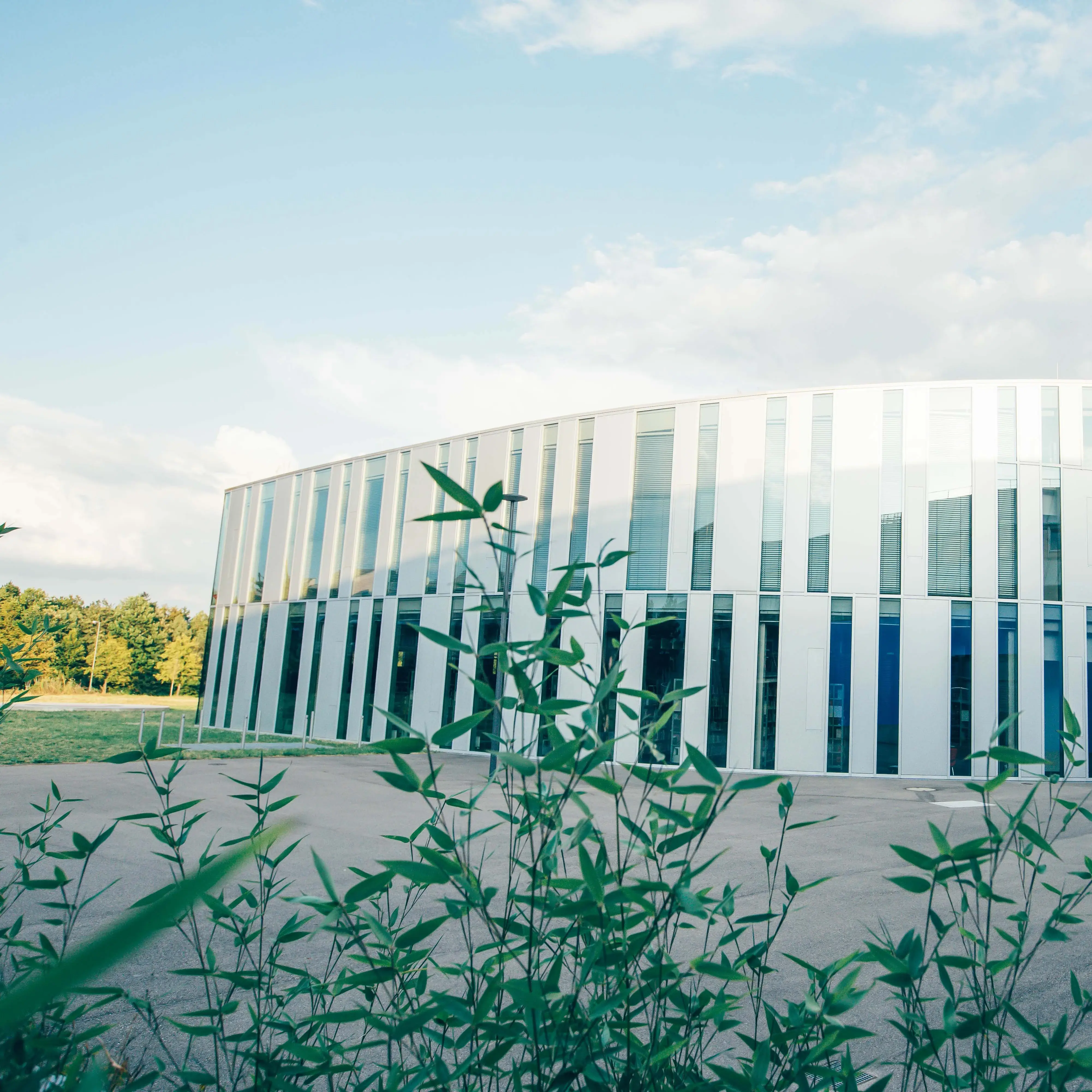 Der sogenannte Zitonenschnitz, ein Nebengebäude der Hochschule der Medien enthält die Bibliothek, Vorlesungssäle und Sitzgelegenheiten für Studierende.
