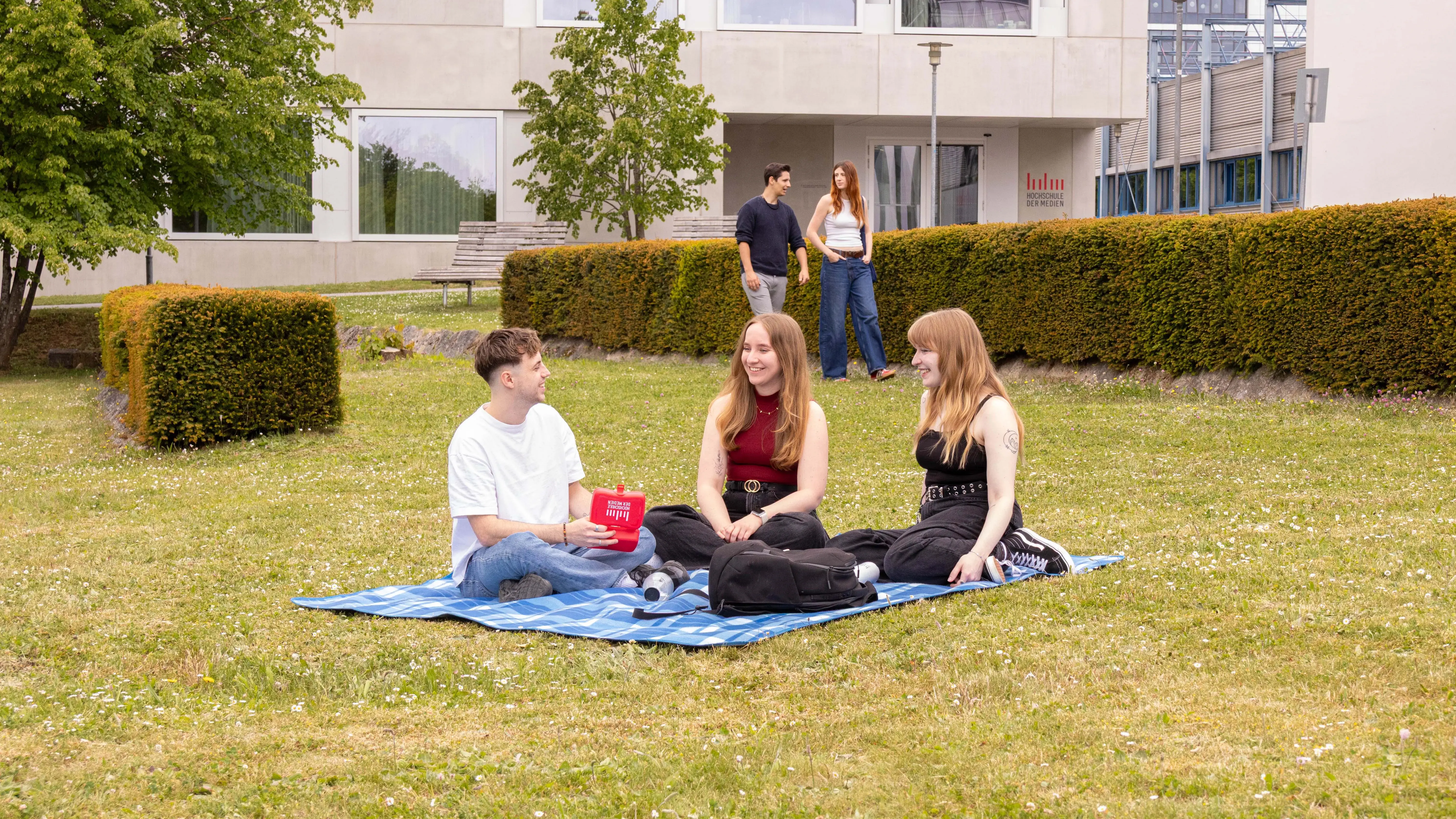 Studierende verbringen ihre Pause auf der Wiese des sonnigen Campus der Hochschule der Medien.