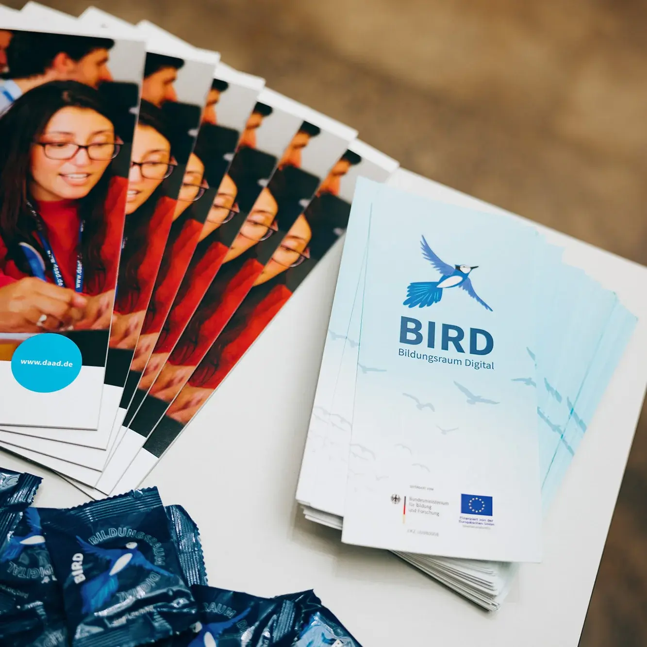 BIRD-Flyer